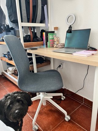 Silla Escritorio IKEA LÅNGFJÄLL Gris