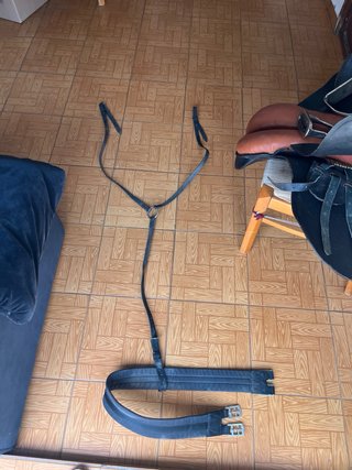 Silla de montar caballos