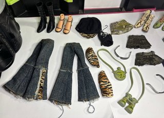 Completa tus muñecas BRATZ safari (leer anuncio)