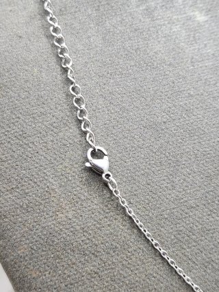 Collar Jessie Toy Story Acero Quirúrgico