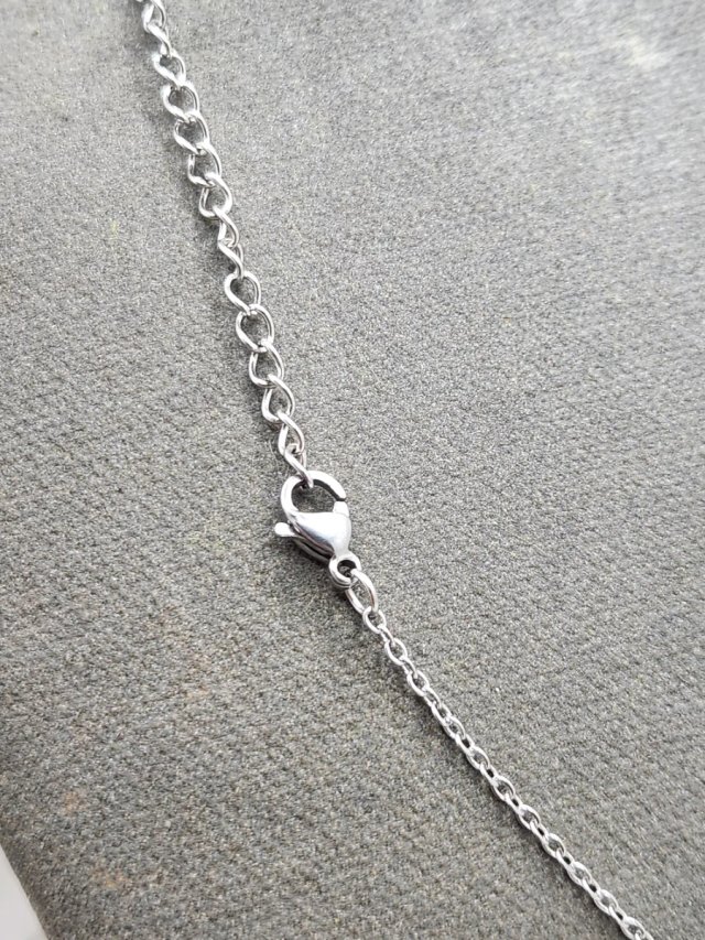 Collar Jessie Toy Story Acero Quirúrgico