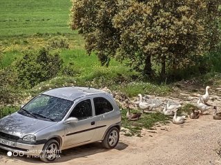 Opel Corsa 2000