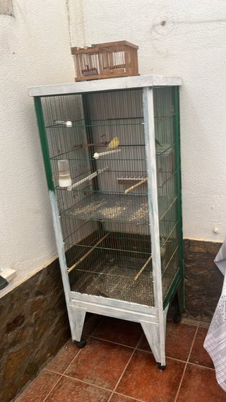 Voladero para pájaros