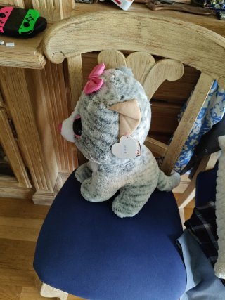 Peluche Gato Gigante
