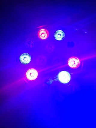 Proyector LED PAR-MINI-RGBW Negro Multicolor