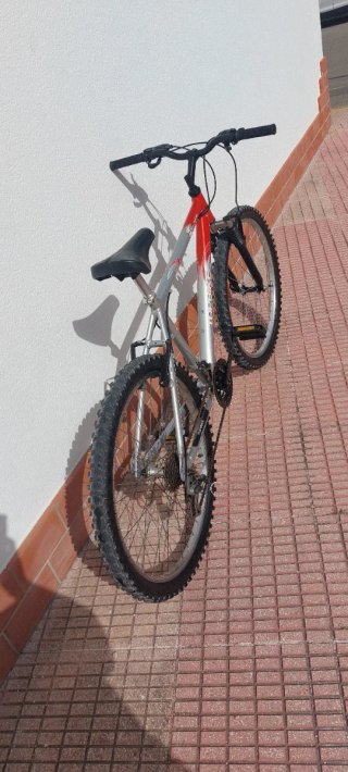 Bicicleta MTB Topbike Roja y Plata