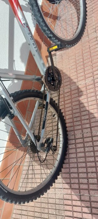Bicicleta MTB Topbike Roja y Plata