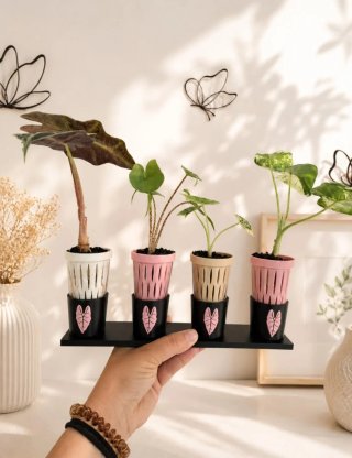 Soporte para cups