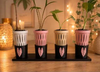 Soporte para cups