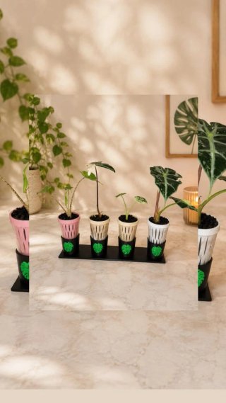 Soporte para cups