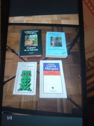 Lote Gabriel García Márquez