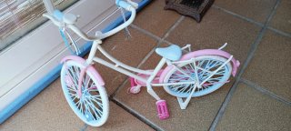 Bicicleta Nancy 2011
