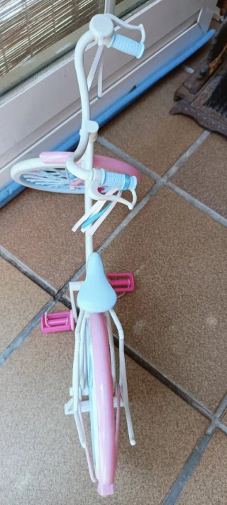Bicicleta Nancy 2011