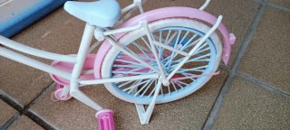 Bicicleta Nancy 2011