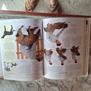 Libro guia para enseñar a los perros