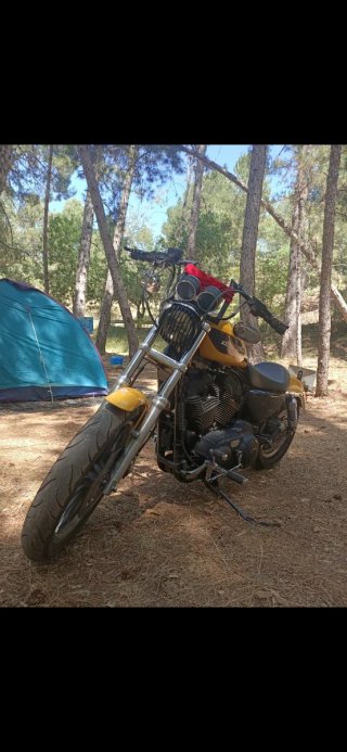 Tacómetro y soporte OEM Harley Davidson Sportster