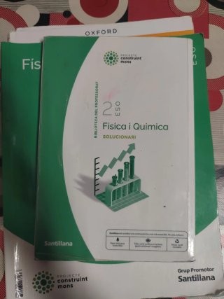 Física i Quimica, 2 ESO, Projecte Construint mons