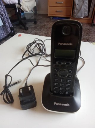 Teléfono fijo Panasonic KX-TGA161EX