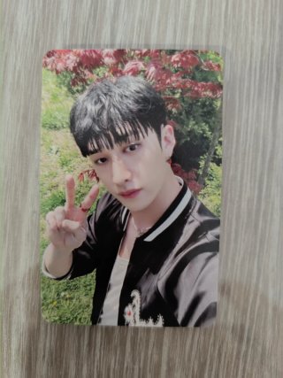 Intercambio Photocards Stray Kids