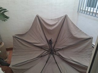Carpa Beige y Gris grande