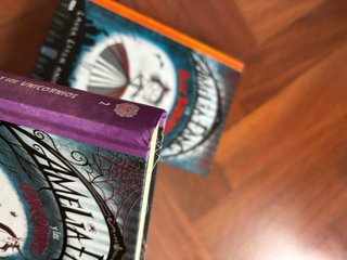 Libros infantiles Amelia Fang