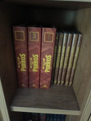 Enciclopedia  Mis amigos los perros