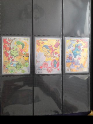 Pokémon Primer Compañero Johto