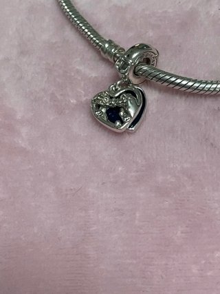 Charm Dama y Vagabundo Disney