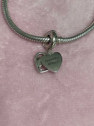Charm Dama y Vagabundo Disney