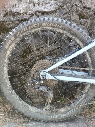 Orbea Laufey JR 24 Bicicleta Montaña
