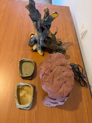 Accesorios terrario: Tronco, Cueva y Comederos