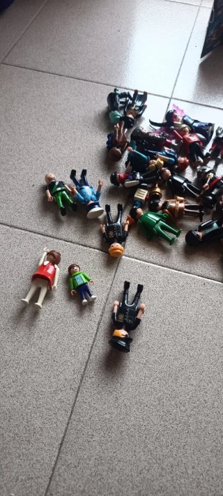 Playmobil Lote Mixto Figuras y Accesorios