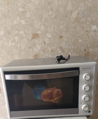 Horno de sobremesa Cecotec 60L