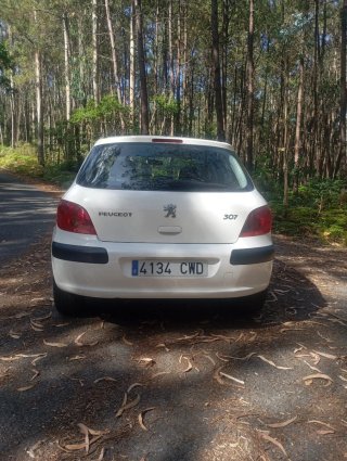 Peugeot 307 2.0 hdi