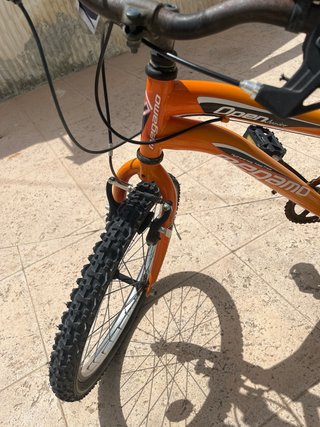 Bici Megamo-Open Junior Ruedas 20