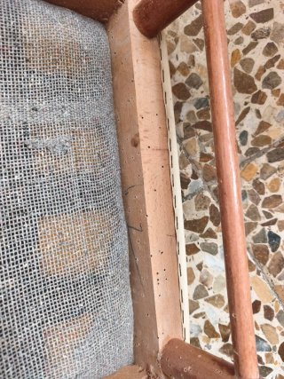 Sillas Mocholi para restaurar