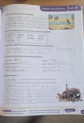Open Up 5 Exam Edition Activity Book (Spain)