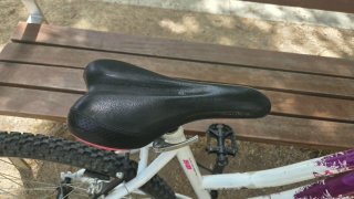 Bicicleta de Montaña 26
