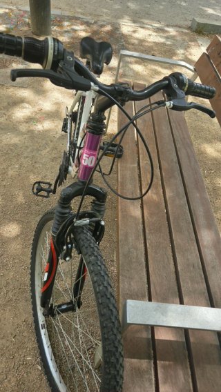 Bicicleta de Montaña 26