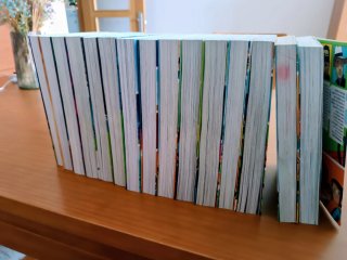 15 Libros de Los Futbolisimos, de Roberto Santiago