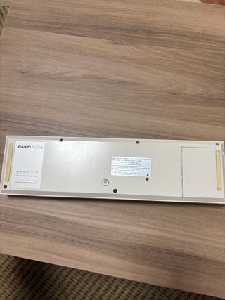 Teclado Casio PT-20