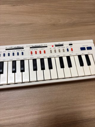 Teclado Casio PT-20