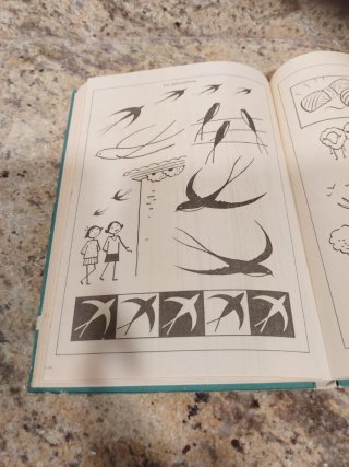 Libro Esque Mas Antonio Carbonell Soler
