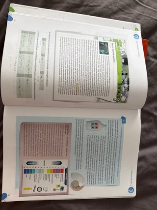 Matematika, 4 DBH Pocos apuntes a lápiz.