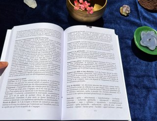Libro Tarot Profilage - Céleste Pascaly Psicología