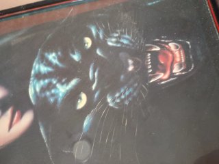 Cuadro Mujer y Pantera Negra