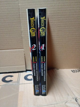 Yakuza girl: serie de manga de dos tomos