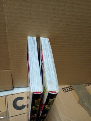 Yakuza girl: serie de manga de dos tomos