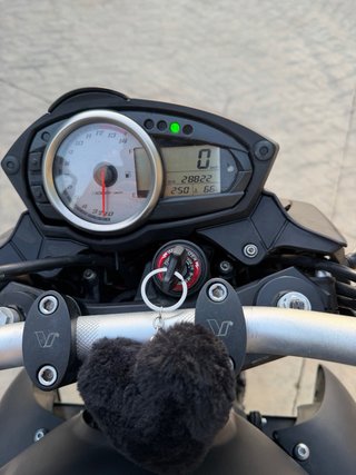 Kawasaki Z750 Negra Manual