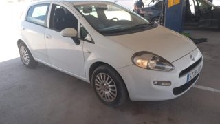 Fiat Punto Blanco